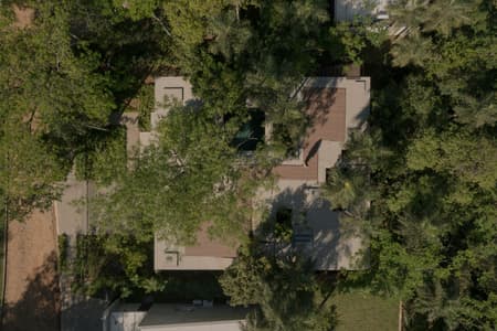 A Forest in the House